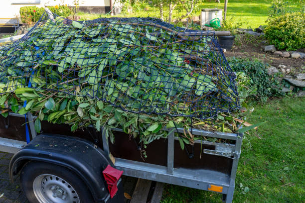 Best Recycling Services for Junk  in Davenport, FL